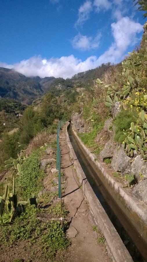 דירות Ribeira Brava Studio Sea View מראה חיצוני תמונה