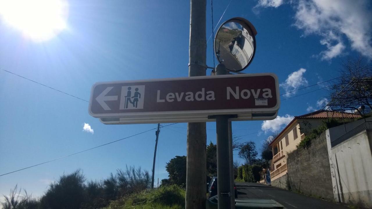 דירות Ribeira Brava Studio Sea View מראה חיצוני תמונה